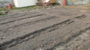 фруктовый сад вместо огорода