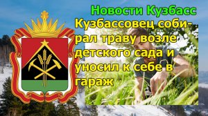 Кузбассовец собирал траву возле детского сада и уносил к себе в гараж