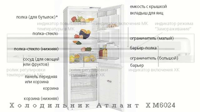 Холодильник АТЛАНТ ХМ 6024 смотреть онлайн