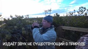 Весенняя охота 2021 Архангельская область.1часть. #охота на гуся