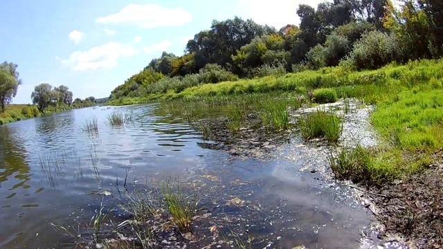 Лучший ВОБЛЕР для Ловли ГОЛАВЛЯ на Спиннинг/Запрещен и выведен из продажи/Рыбалка. смотреть онлайн