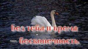 Я по тебе скучаю