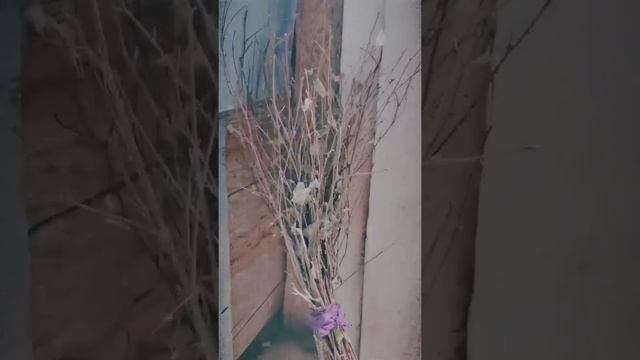 люблю снимать такого плана видео) смотреть онлайн