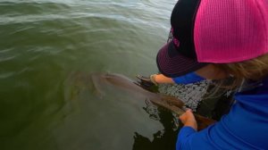 GREATEST MUSKY FISHING DAY EVER!!! - 12 MUSKIES IN ONE DAY!! EPIC TOPWATER!!