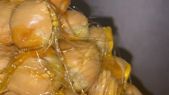 ?ХОЛОДНЫЙ ЧИЗКЕЙК “DULCE de LECHE”?COLD CHEESECAKE «DULCE de LECHE»? смотреть онлайн