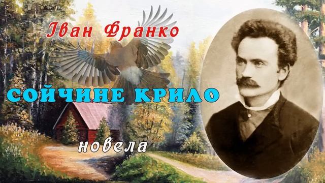 "Сойчине крило"(1905), Іван Франко, новела. Слухаємо українське!