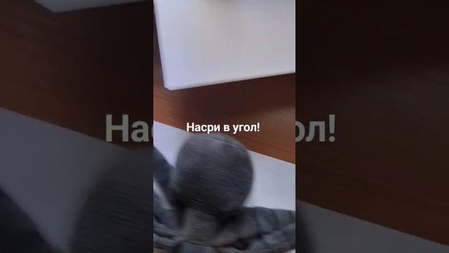 Насри в угол!