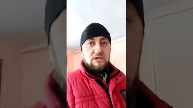 Проращиваем зерно для кур. [дополнение]