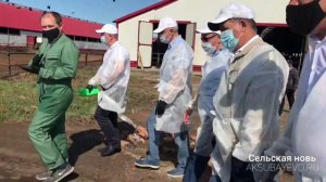 На молочном комплексе Аксубаевского района применяют современные методы работы