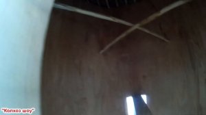 Колода для пчёл(борть) размеры, как устроена/Из города в деревню.