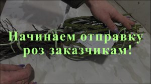 Начинаем отправку роз заказчикам!