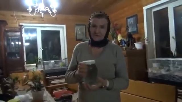 Рак - это грибок ! Рак излечим! самый простой, дешевый и доступный способ из того что есть.