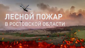 Лесной пожар локализован на 169 га в Ростовской области — видео