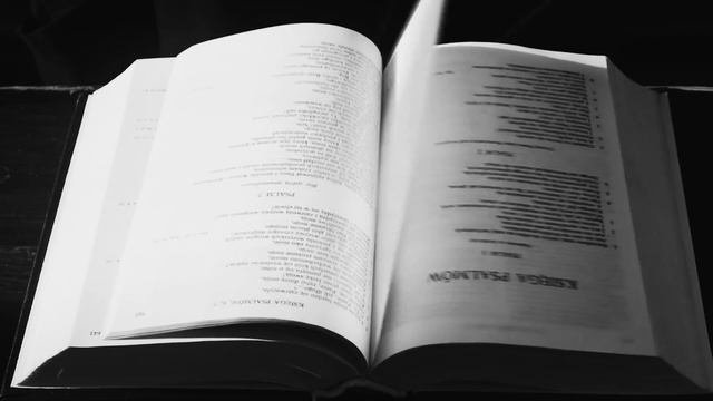 ИСЧЕЗНОВЕНИЕ НА РАБОЧЕМ МЕСТЕ ПОКРЫТО ТАЙНОЙ | Синтия Андерсон