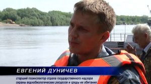 Рейд по Оке с РыбНадзором под Серпуховым. 2013г