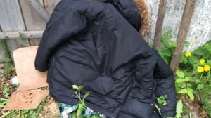 Пробитие зимней одежды, травматическим пистолетом  МР-80-13т