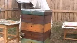 Улей-удав. Технология пчеловождения