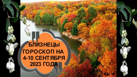 БЛИЗНЕЦЫ ТАРО ПРОГНОЗ НА НЕДЕЛЮ С 4 ПО 10 СЕНТЯБРЯ 2023 ГОДА