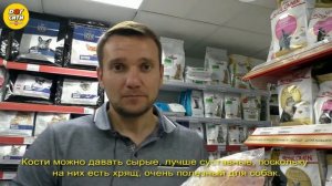 Какие кости можно давать собаке