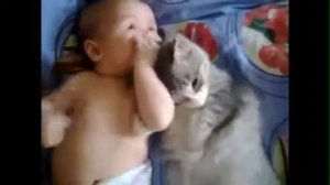 Кошка и ребенок! Милота! Cat and child!