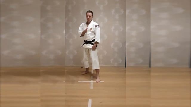 #2.1 Основы правильной стойки, уклонов и перемещений.Сёриндзи Кэмпо.Обучающее видео,тренировка дома