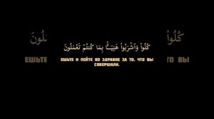 Красивое чтение Корана - Идрис Абкар