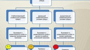 Сырымбетов С.Т. Эволюционное учение. Лекция №9