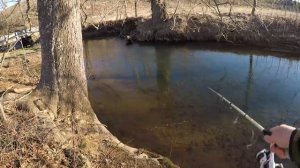 Tricking Finicky TROUT with Mini Cranks! (Didn't go as planned)