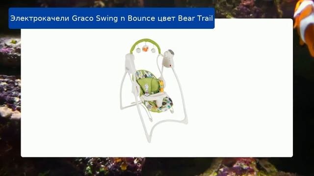 Электрокачели Graco Swing N Bounce цвет Bear Trail обзор