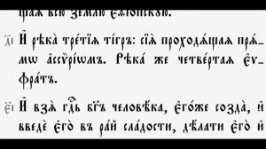 БИБЛИЯ-3!!! 1581 г. На славянском языке! С паралельным переводом на русский.
