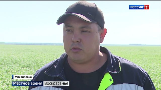 В Волгоградской области идет сев подсолнечника