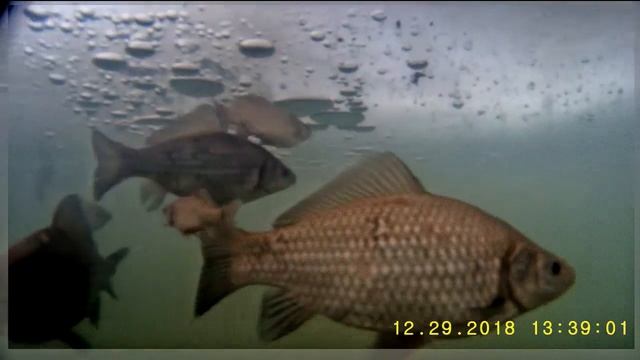 Imx 225 AHD смотреть онлайн