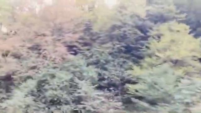 Tusheti National Park Georgia ?? смотреть онлайн