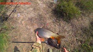 РЫБАЛКА В ОКТЯБРЕ В СИЛЬНЫЙ ВЕТЕР,НА САЗАНА.ОТМЕЧАЮ ДЕНЬ РОЖДЕНИЯ!!!СРЕДНИЙ КАНАЛ.