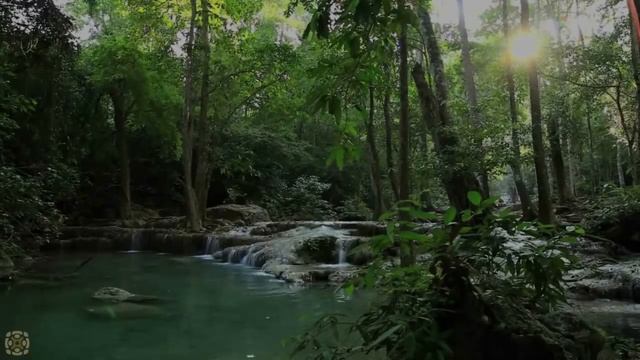 Sleep Talk Down: Abundance Love  Happiness Guided Sleep Meditation By Jason Stephenson