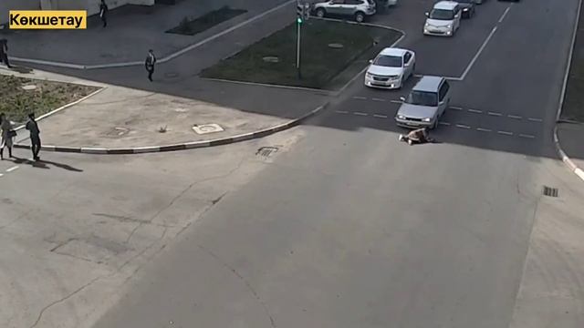 В Кокшетау сбиваются пешеходов 2022 г ?? смотреть онлайн
