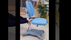 Эргономичное кресло для детей Anatomica Ergo Duos