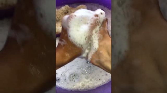 Мыление туалетного мыла BioMio