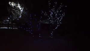 ?♀️Добавила гирлянду на дерево.