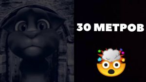 том реакция на то на сколько метров поднялось море