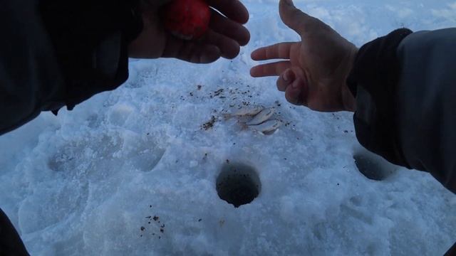Бешенный клев. Мормыш. Продолжение.
