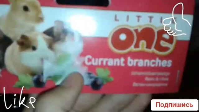 ЧТО НУЖНО ДЛЯ ПОЯВЛЕНИЯ В ДОМЕ ШИНШИЛЛЫ//хранение вещей// смотреть онлайн