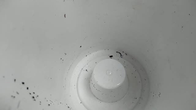 РАЗ ПОЛЬЕТЕ орхидеи ЭТИМ, корни ПОЛЕЗУТ! листья ПОЗЕЛЕНЕЮТ! полив орхидеи ЛИМОННОЙ КИСЛОТОЙ! смотреть онлайн