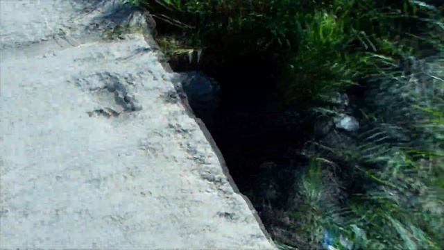 Vlog | Сколько весит огромная груша. смотреть онлайн