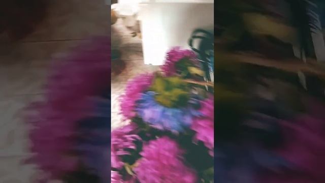 последние осенние цветы??? смотреть онлайн