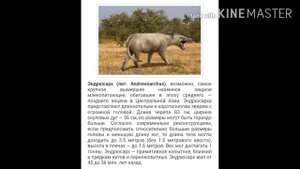 Древние животные мира