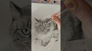 Богатая кошка ? Как нарисовать кошку простым карандашом? #sketch  #artwork #кошки #рисование