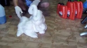 Тасол и антифриз реакция на смешивание! Жесть