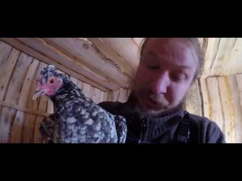 СТОЛБЧАТЫЙ ФУНДАМЕНТ БАНИ l БУРЕНИЕ l УМЫВАНИЕ СНЕГОМ l ЗАВТРАК l ДЕНЬ 37 - 39 l