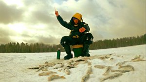 Один на озере попал на дикий клёв! Только опускай - клюёт! Весенняя рыбалка со льда, Карелия 2022